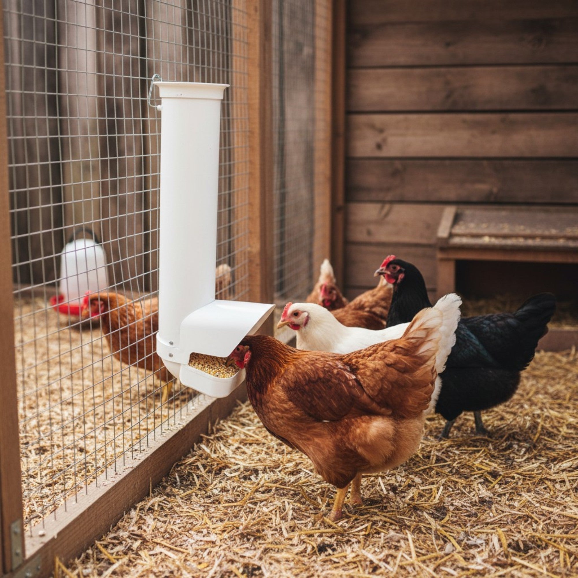 Rooster Farms 9Kg Gravity Chicken Feeder - Automatic Hanging Food Dispensing