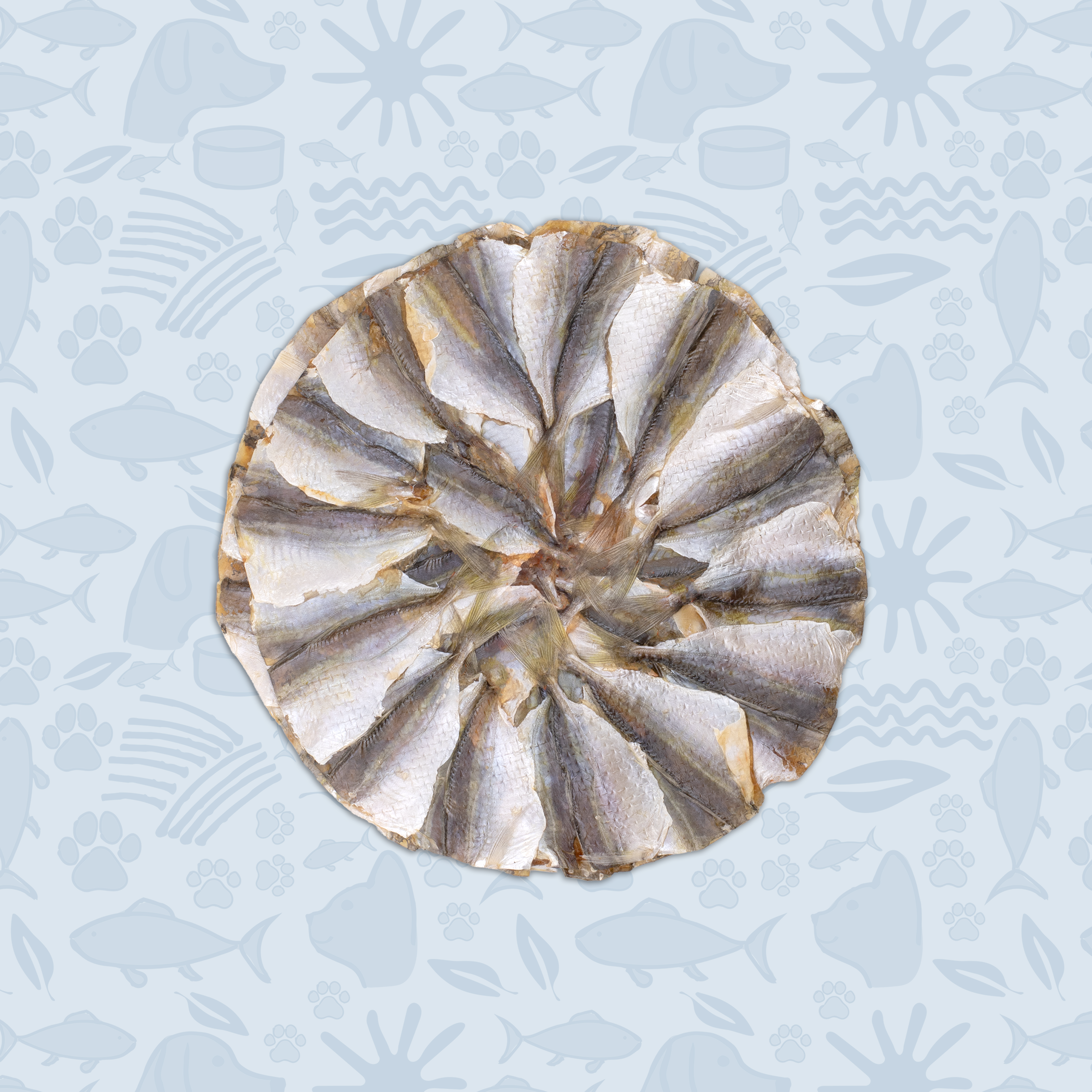 Pet Pizza - Natural Treat for Dogs & Cats