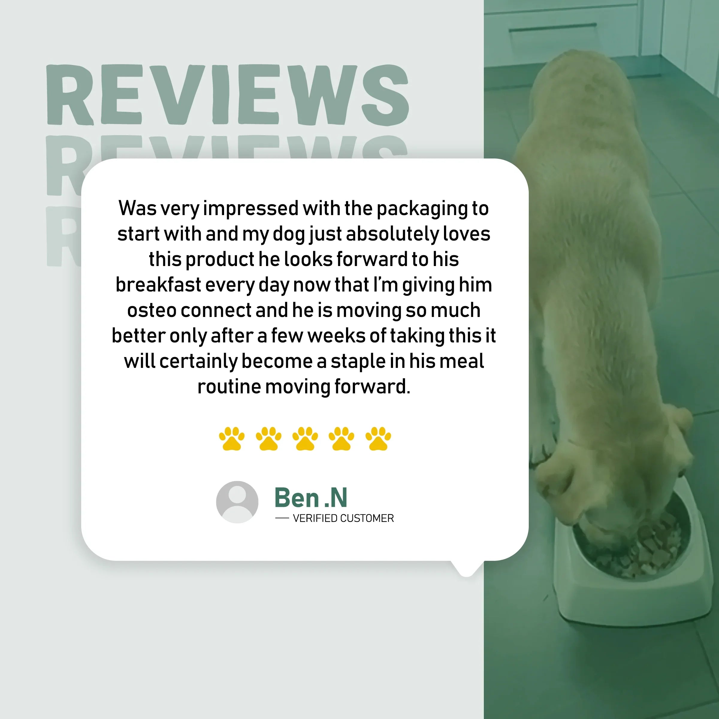 Osteo Connect - Green Lipped Mussel Joint Support for Dogs