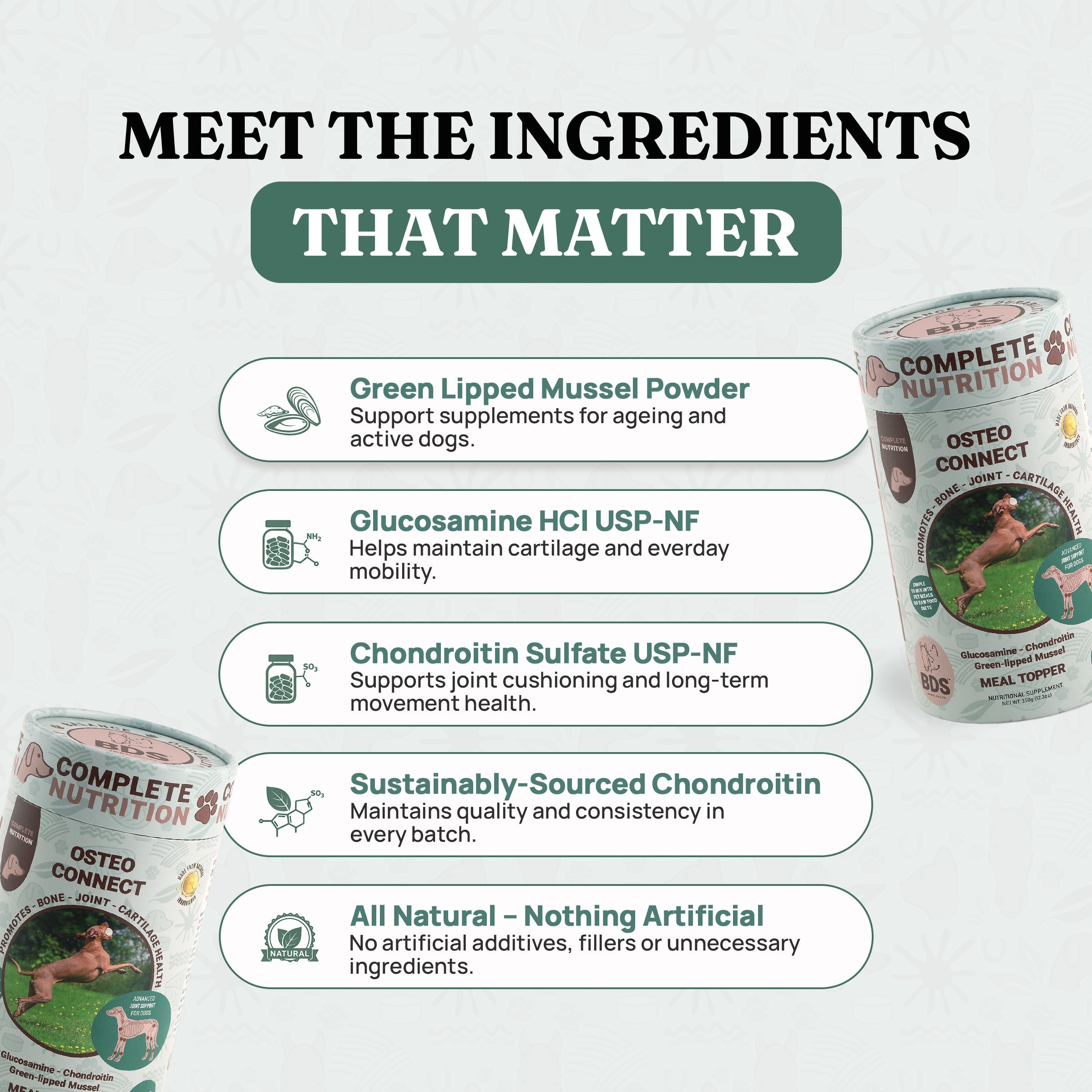 Osteo Connect - Green Lipped Mussel Joint Support for Dogs